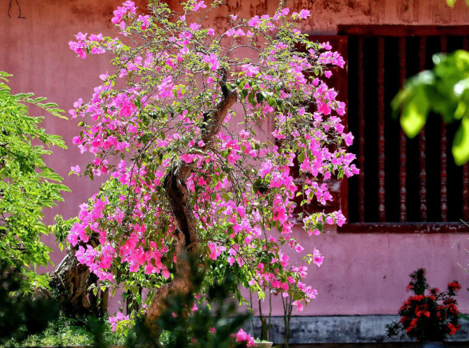 0022_Vietnam_Schoene Aussichten Touristik